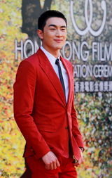 组图：《宗师》剧组压轴红毯 女星争秀美胸美背