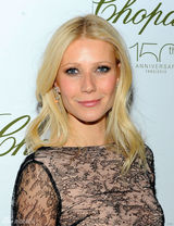 幻灯图：众星亮相时尚派对 哈德森帕特洛竞艳