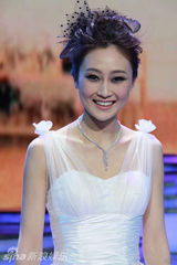 幻灯组图：林鹏年关赶场忙 秘密参与北京春晚彩排