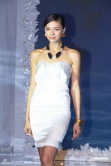 组图：佘诗曼穿戴顶级珠宝 形象高贵优雅凝聚焦点