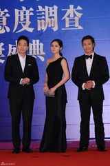 组图：电影华鼎奖红毯刘德华范冰冰等群星助阵