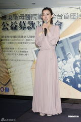 组图：范玮琪为筹建医院募款担任爱心公益大使