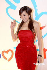 幻灯图集：王菲再现招牌烟熏妆 刘嘉玲黄色唐装雷人