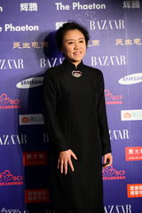 组图：群星亮相BAZAAR明星慈善夜红毯星光熠熠