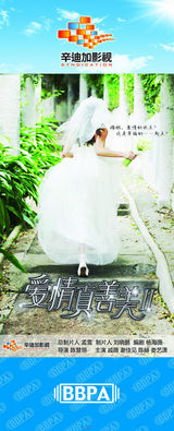 组图：2012年首都电视节目秋推会海报展示