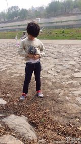 组图：天天抱小兔子玩耍小心呵护 张亮地位不保