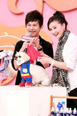 组图：戴娇倩做客综艺节目 爱犬耍宝HIGH翻天