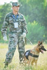 组图：《神犬奇兵》发圣诞海报  军犬萌化人心