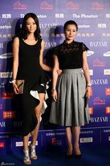 组图：群星亮相BAZAAR明星慈善夜红毯星光熠熠