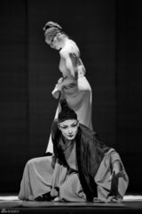 组图：《警幻绝》用舞蹈演绎别样红楼情感