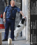 组图：英国王室婚礼准备工作进入最后阶段