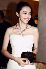 组图：姚晨亮相品牌活动孕味十足