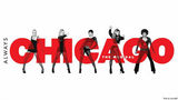 组图：《芝加哥》海报性感诱惑 尽情秀蕾丝长腿