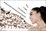 高清组图：王菲菲爱护动物公益明信片