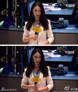 组图：新浪最美女记者走红 神似佟丽娅娄艺潇