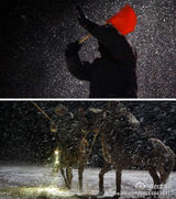 组图：让-雅克阿诺风雪中与狼共舞