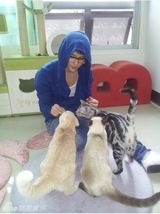 策划：韩星宠物集结号 爱豆们的宠物情人