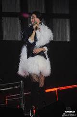 组图：王菲香港演唱会开场 刘嘉玲李亚鹏现身支持