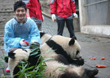 高清图：黄晓明送熊猫儿女去世博 做称职奶爸
