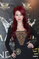 组图：何超云陈山聪秀恩爱 庄思敏超低胸裙性感亮相