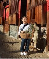 幻灯：何雯娜担任代言人 身着民族服装清新可爱