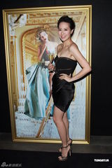 组图：汪诗诗低胸礼服秀事业线 Lisa S.性感亮相 