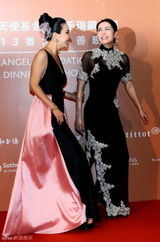 组图：嫣然基金晚宴 王菲撒娇“拒绝”再合影