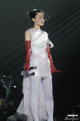 组图：王菲香港演唱会开场 刘嘉玲李亚鹏现身支持