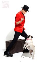 组图：包贝尔搞怪逗萌狗 无交流自成风格