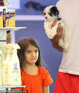 组图：苏瑞宠物店遭捉弄头顶小狗表情囧