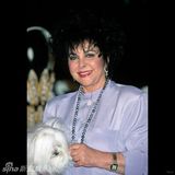 组图：追忆玉婆 伊丽莎白-泰勒影像图集