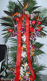 组图：王一楠后台庆生被抹花脸 刘小锋献吻