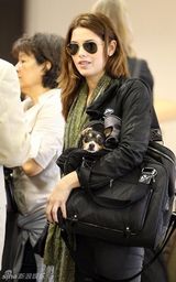 组图：《暮光》三星抵达洛杉矶 新片开拍在即