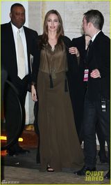 组图：朱莉飘逸薄纱似女神 隐约现底裤性感