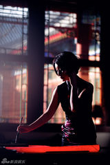 高清图：秦海璐初春写真 逛老北京展露文艺气息