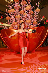 幻灯图集：熊黛林华美礼服亮相 表演优美花灯舞 