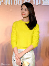 组图：高圆圆小清新造型 活动现场亮眼搭配