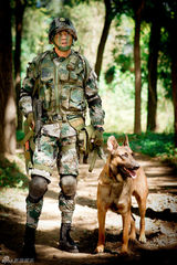 组图：《神犬奇兵》曝剧照 杨烁化身神犬训练师