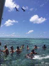 组图：佟丽娅父亲抵达大溪地 董璇夫妻潜水疯玩