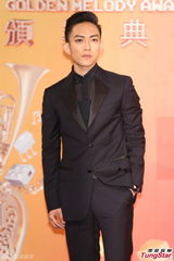 群星亮相金曲奖红毯 蔡依林美腿梁静茹性感(图)