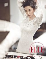 幻灯图：李冰冰登《ELLE》封面 优雅大气淑女风范
