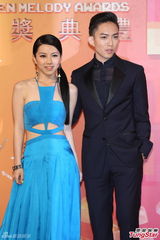 群星亮相金曲奖红毯 蔡依林美腿梁静茹性感(图)