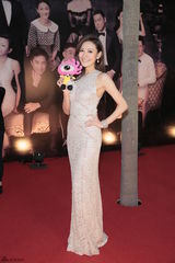 组图：金像奖红毯星光灿烂 众星持小新齐卖萌