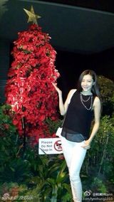 组图：众星欢乐庆圣诞 Angela可爱林志玲性感