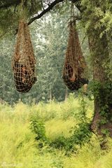 组图：《永不磨灭的番号》首曝剧照 讲述小人物传奇 