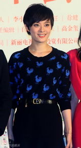 组图：孙俪张译明道出席《辣妈正传》发布会