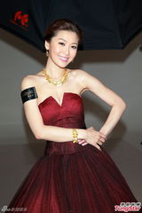 组图：周丽淇红裙高贵代言 称寻真爱不排除闪婚