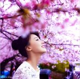 组图：甘薇樱花写真曝光 红粉佳人清新唯美
