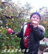 组图：央视女主播张泉灵六岁幼子曝光调皮伶俐