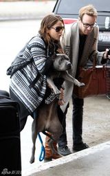 组图：《暮光》三星抵达洛杉矶 新片开拍在即